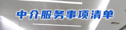 中介服務(wù)事項清單