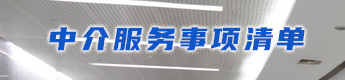 中介服務(wù)事項清單